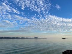 -上海市保健医疗中心