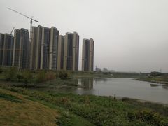 -保利·诺丁山