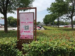 -顾村公园3号门停车场