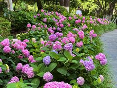 -常州古运河南大街文化旅游区-人民公园