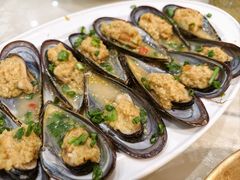 -魚當家