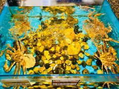餐具摆设-拉完海鲜大排档(温岭店)