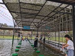 -杨家寨
