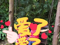 -海南热带野生动植物园