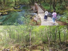 -叠溪松坪沟景区
