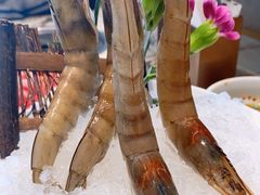 -大舜国风· 和牛火锅(绮霞街店)