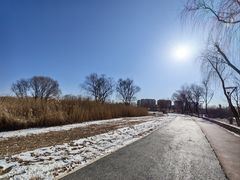 -大兴滨河森林公园