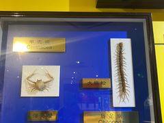 -上海昆虫博物馆