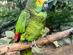 -南宫五洲植物乐园