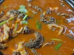 砂锅羊肚-砂锅店