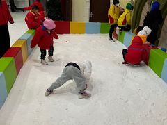 -世界之窗阿尔卑斯冰雪世界