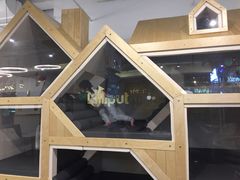 -Lilliput粒粒堡亲子餐厅(置汇旭辉店)
