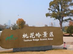 -桃花岭景区