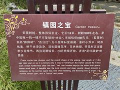 -朴园