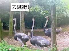 -杭州野生动物世界