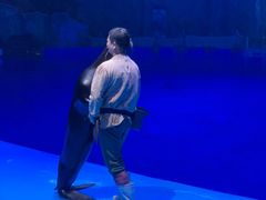 -芜湖新华联大白鲸海洋公园