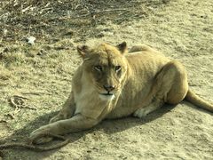 -北京野生动物园