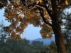 -三江森林温泉度假区