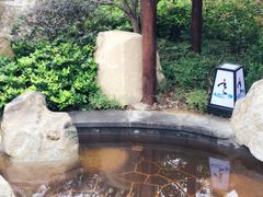 -溧阳天目湖天沐温泉