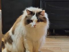 -白兔子密室(长寿路店)