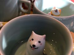 -猫的天空之城概念书店(丽江古城饮玉巷店)