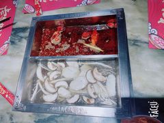 菌汤鸳鸯锅-码头故事火锅(富平店)