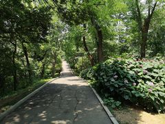 -首义公园-武昌蛇山烈士祠