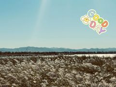 -野鸭湖国家湿地公园