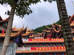 -东莞市大岭山森林公园