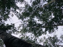 -老君堂公园