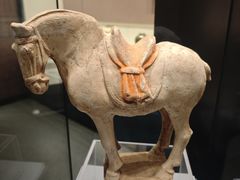 -隋唐大运河文化博物馆
