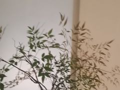 -墨宴(西洋湖店)