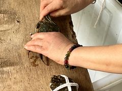 -阳澄湖大闸蟹·琼灵阁牌品牌连锁(吴中总店)