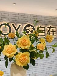 点击看大图 -自在瑜伽·普拉提馆MRBH