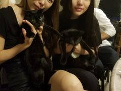 -东山羊庄(八卦岭店)