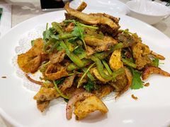 -紫光园(顺义店)