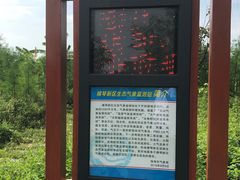-芒洲湿地公园