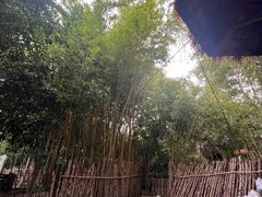 -深业半汤御泉庄温泉