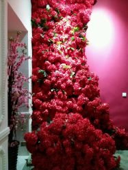 -戛纳印象摄影(潮拍定制馆)