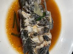 珍珠石斑鱼-盒马鲜生(馥邦国际店)