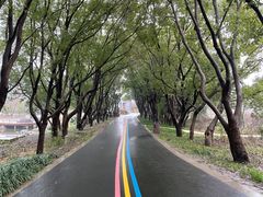 -同里国家湿地公园