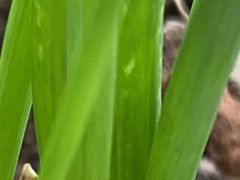 -宜昌富力皇冠假日酒店·咖啡1号西餐厅