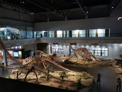 -自贡恐龙博物馆