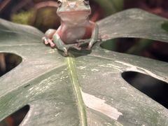 -上海大自然野生昆虫馆(东方明珠·爬宠昆虫探索中心)
