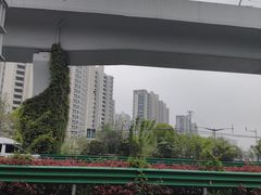 -美兰湖景区