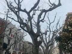 -安福路
