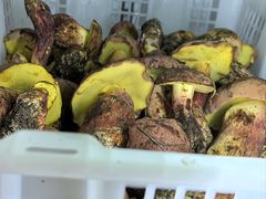 -双喜农庄·菌香园(安居家园店)