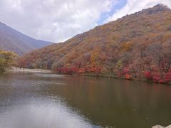 -龙道沟景区