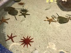 -福州罗源湾海洋世界旅游区