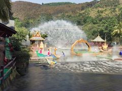 -西双版纳原始森林公园